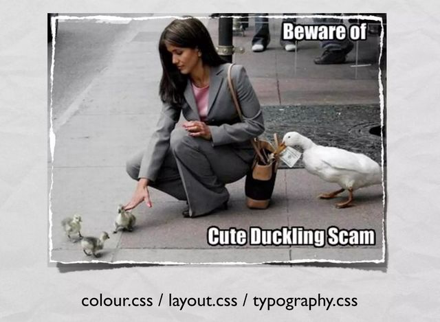 A woman in a suit kneels to pet cute ducklings while the mother duck removes a bill from her purse. The text underneath says colour.css / layout.css / typography.css