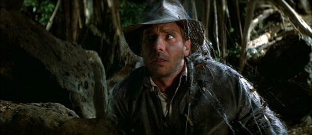 Indiana Jones covered in cobwebs, looking frustrated.