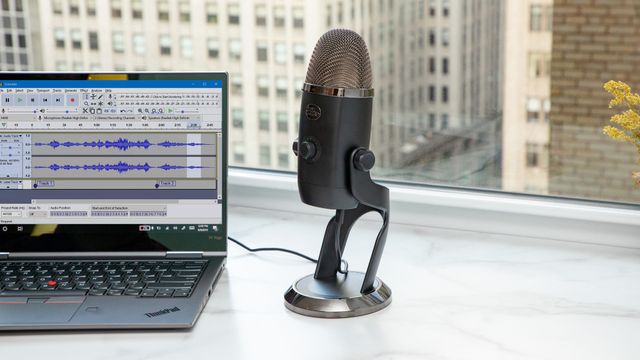 mic